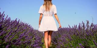 生活方式与一个年轻的金发白种女人漫步在一个夏天的下午紫色的薰衣草田在白色的裙子和帽子。在薰衣草花丛中漫步