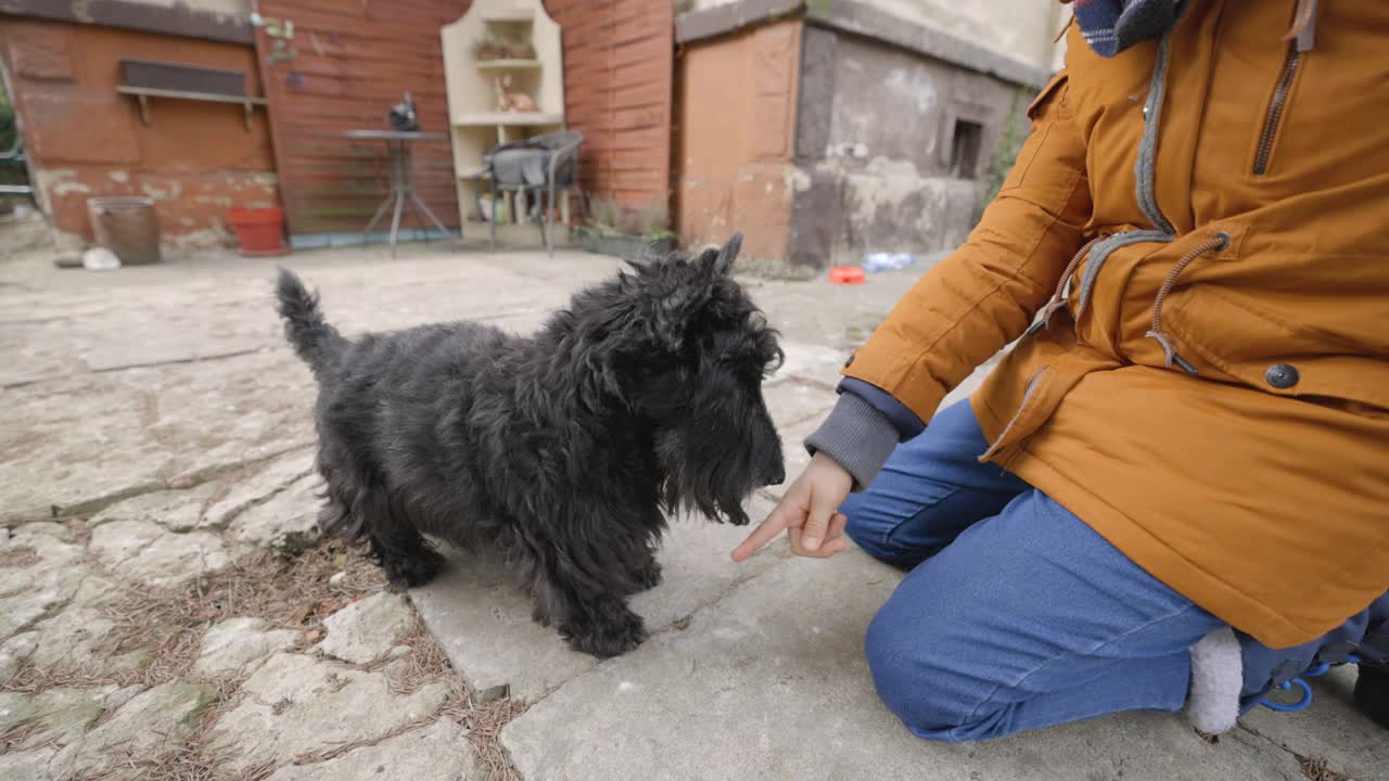 一个小男孩在后院教他的狗玩把戏。