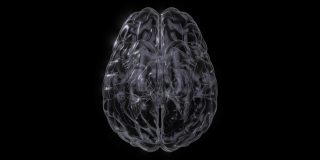 带有移动神经元信号的3D人脑。通过脑机接口读取神经信号。脑科学概念动画。