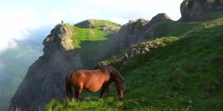 在巴斯克地区的阿亚山(Monte Peñas de Aya或Aiako Harria)多云的山顶上，一匹棕色的马。巴斯克地区