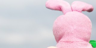 慢镜头4 k。粉色毛绒复活节小兔子坐在鸡蛋里。观念到春季宗教复活节的投石器。特写镜头