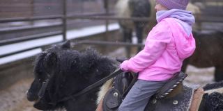 孩子骑着小马。女孩骑手棕色的马。农场里的孩子和宠物