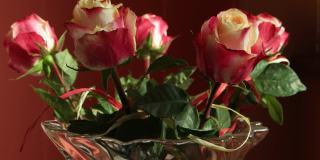 一缕阳光在镜子里反射在花瓶里的玫瑰上
