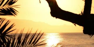 太阳从海上升起，照亮了西西里岛的海滩