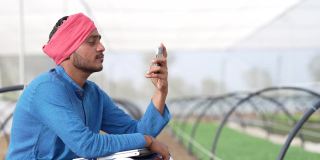 年轻的印度农民在poly的房子或温室里用智能手机聊天