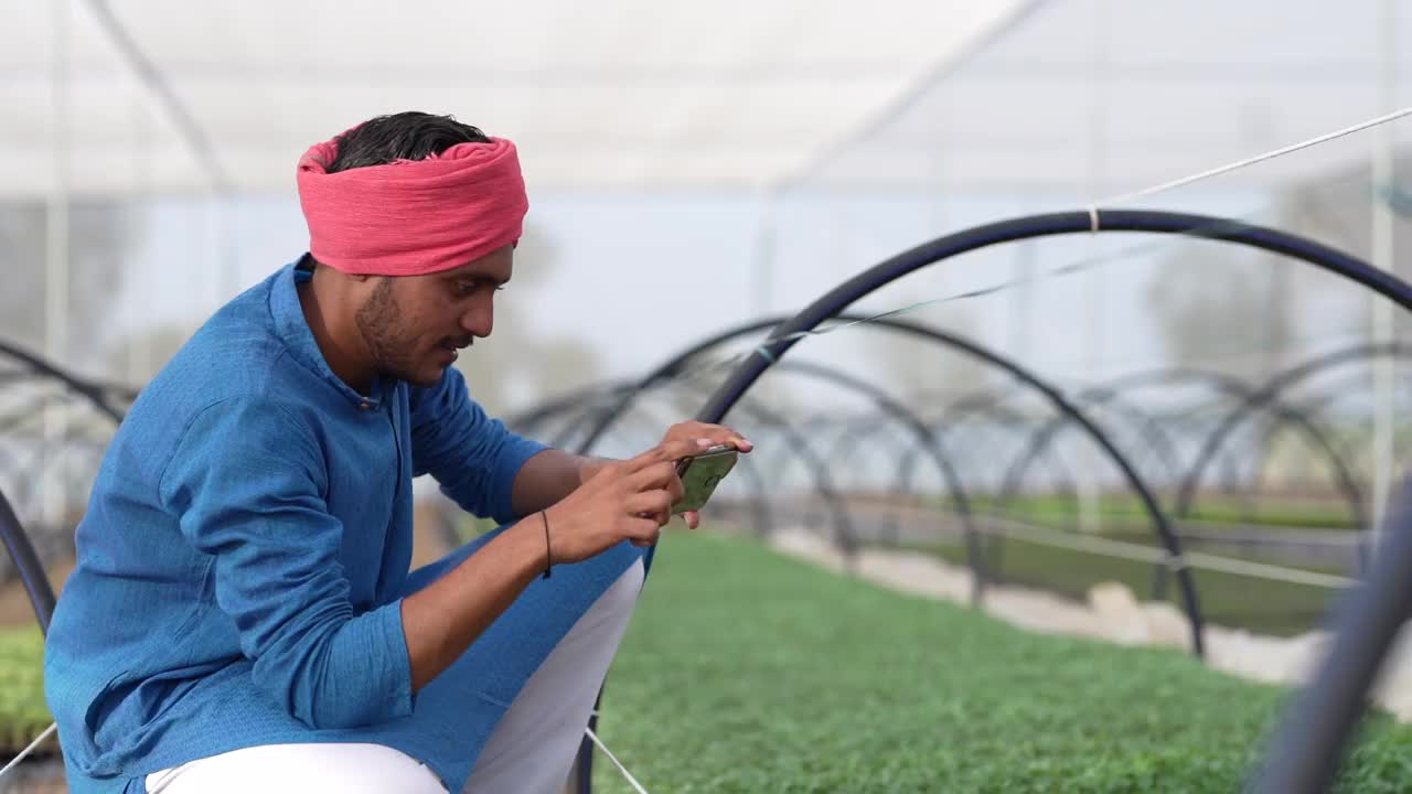 年轻的印度农民在poly房子或温室里使用智能手机
