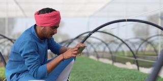 年轻的印度农民在poly房子或温室里使用智能手机