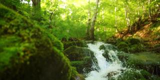 河在森林和山上有水晶般清澈的水。湍急的溪水从长满苔藓的石头上流过。慢镜头,HDR