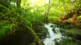 河在森林和山上有水晶般清澈的水。湍急的溪水从长满苔藓的石头上流过。慢镜头,HDR视频素材模板下载
