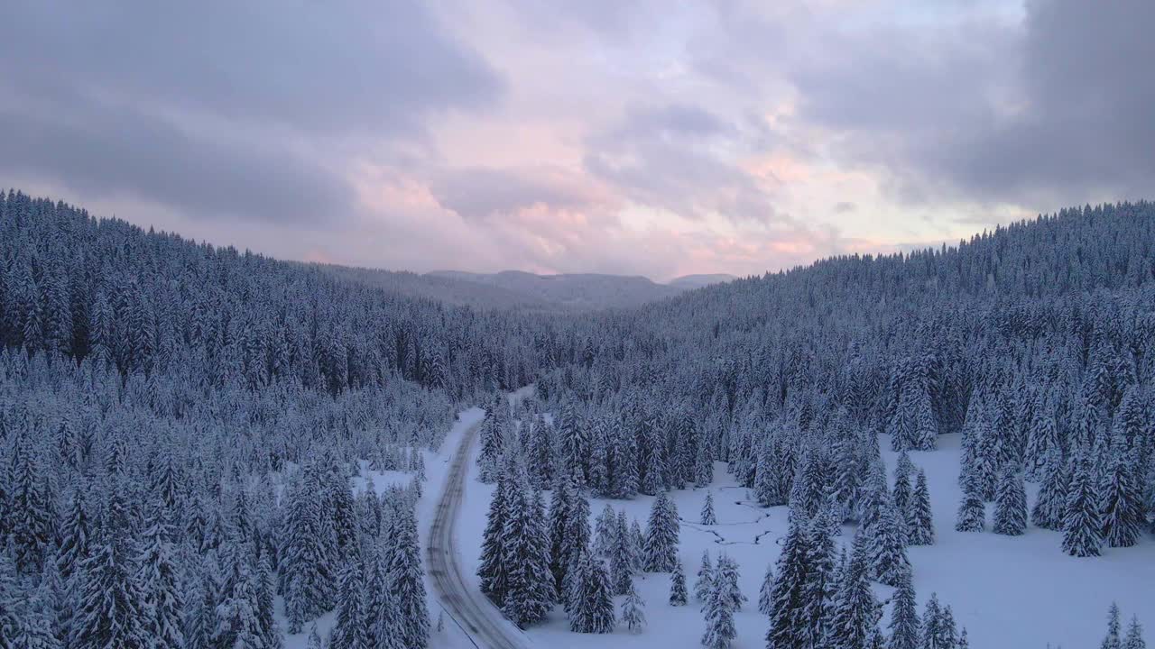 冬季空中旅行在积雪覆盖的松树林地。在山上滑雪度假。