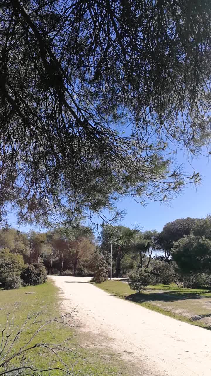 在西班牙马德里的一个公园里有风的下午