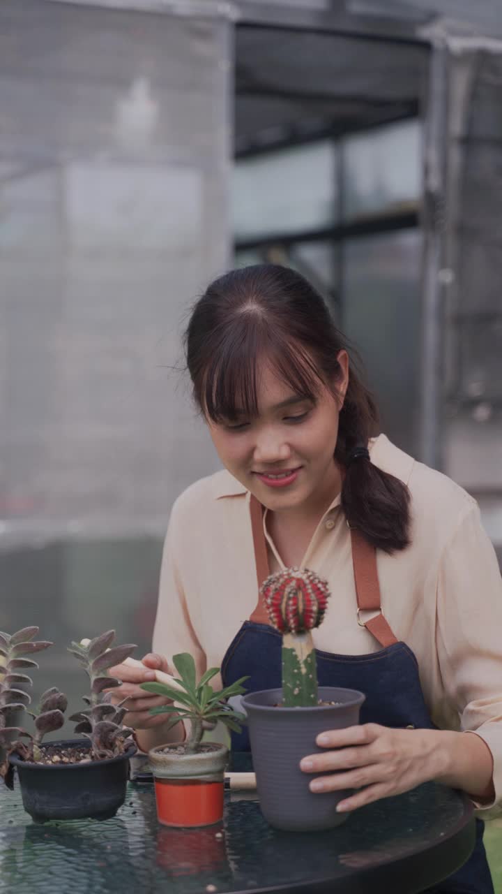 年轻的亚洲女性站在户外的后院照顾她的仙人掌盆栽植物