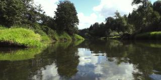 森林河流夏季景观。在钓鱼和娱乐期间观看。