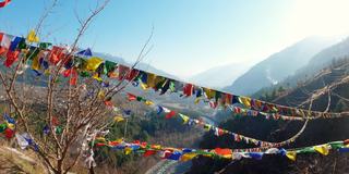 印度喜马恰尔邦(喜马恰尔邦)附近的Patlikuhal村，盘干宁马寺(Pangan Nyingma Monastery)的彩色佛教藏传经幡覆盖在山上