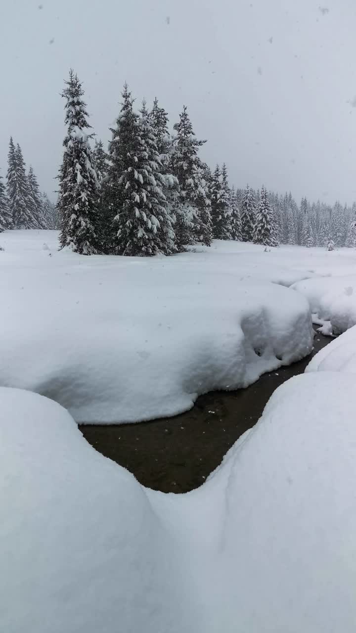 冬天的风景。近距离观察从山间流淌的河水融化着深深的白雪。背景。