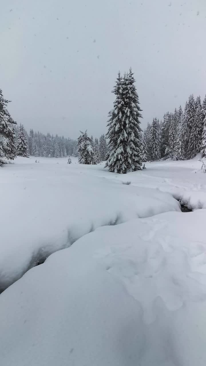 冬天的风景。近距离观察从山间流淌的河水融化着深深的白雪。背景。