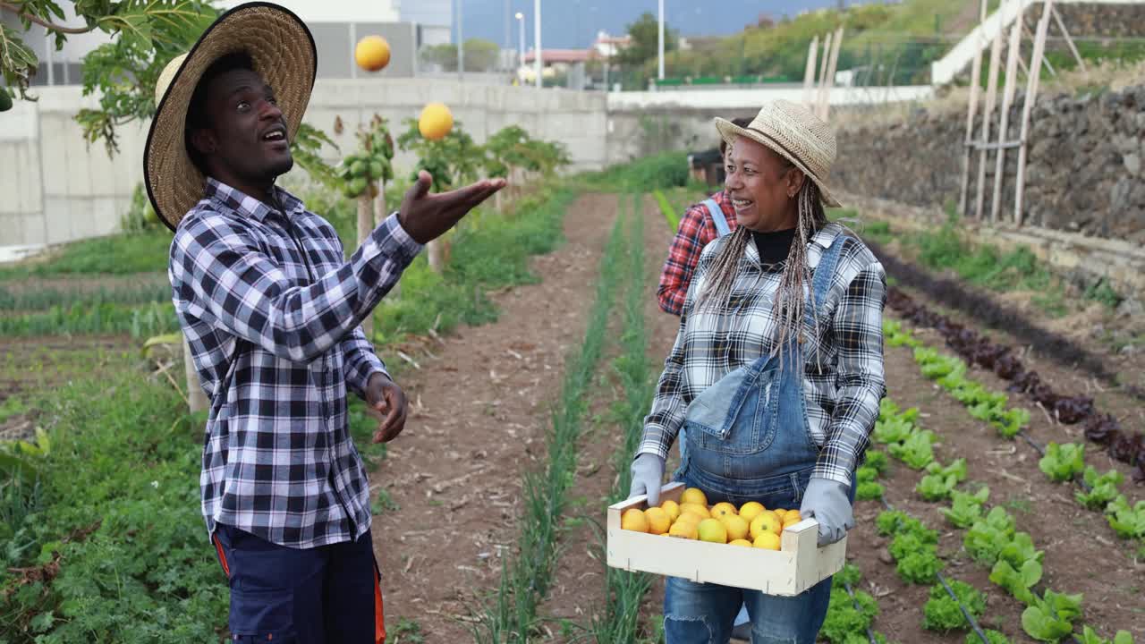 多种族园艺的人与橙子的乐趣-健康的食品和收获的概念