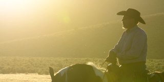 美国西部牛仔骑着马在犹他州的日落