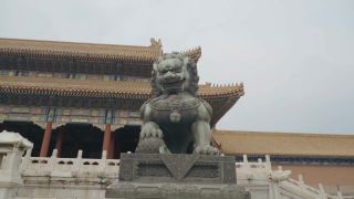 中国北京紫禁城内的大型皇家狮子雕像。视频素材模板下载