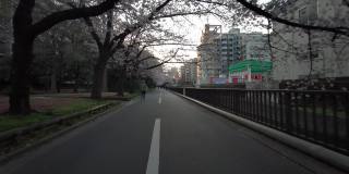 东京仙台堀川公园樱花骑行