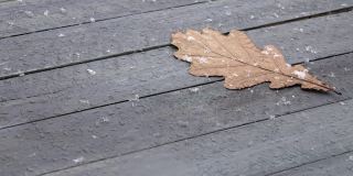 雪花落在木桌上的一片橡树叶上
