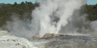 新西兰。北岛上的间歇泉喷发。