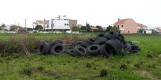 一堆旧橡胶轮胎在一片绿地上。堆放废弃的车轮