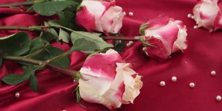 粉红色的珍珠落在深红色的缎子和粉红色的玫瑰上