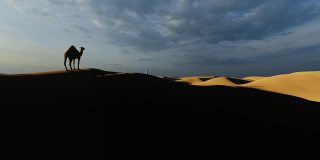 一个阿拉伯人在沙丘中向骆驼走去