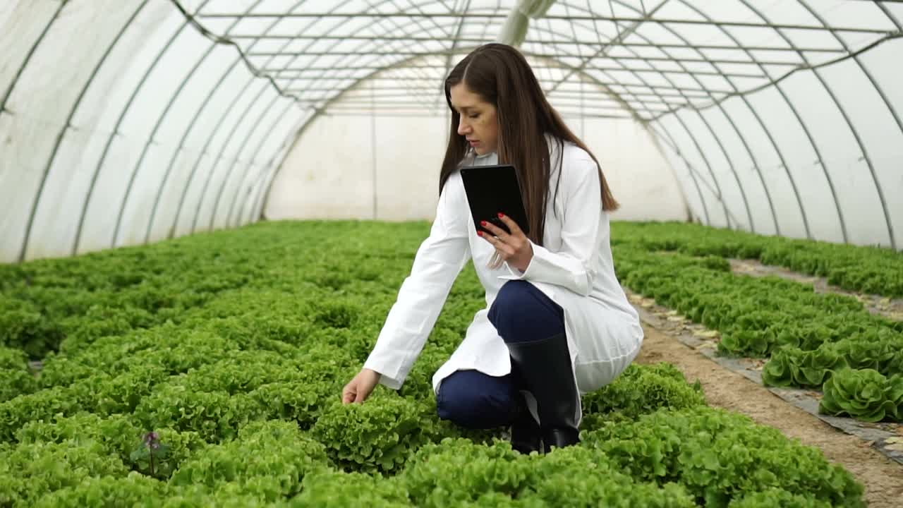 女性农学家使用数字平板电脑，检查她的有机农场