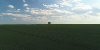 在蓝天白云的映衬下飞过绿色的农田，4k视频