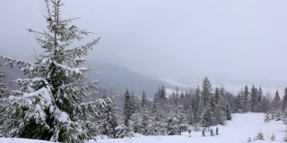 在雾蒙蒙的天气里，喀尔巴阡山脉上覆盖着白雪和杉树的小草地