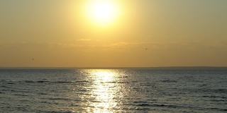 美丽的日落在海滩上，海浪和海鸥的鸟飞翔。金光闪闪的海洋，海面在日落或日出热带海滩，太阳反射的背景水。旅行的夏天自然
