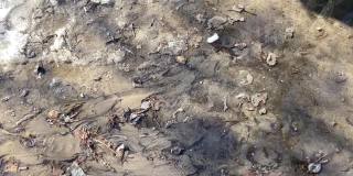 早春的泥坑和肮脏的地面特写。肮脏和泥泞天气的概念