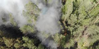 冒烟的野火的航拍画面。森林和田野在火中。亚马逊和西伯利亚的野火。干草燃烧。