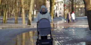 母亲与婴儿车走在人行道上的公园在早春妇女推着婴儿车在路径上在凯瑟琳公园在Tsarskoye Selo普希金镇。