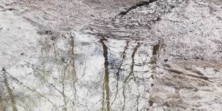 在一个阳光明媚的日子里，这条小溪在公园里的冰和泥土中流淌，倒影着水坑里的树木