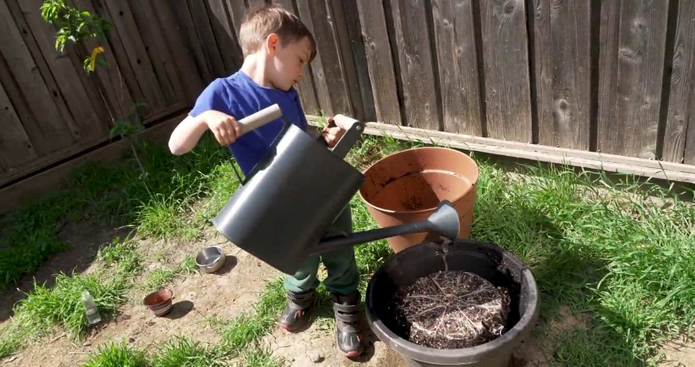 小男孩在自家后院做园艺