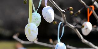 复活节彩蛋挂在树枝上。复活节的作文