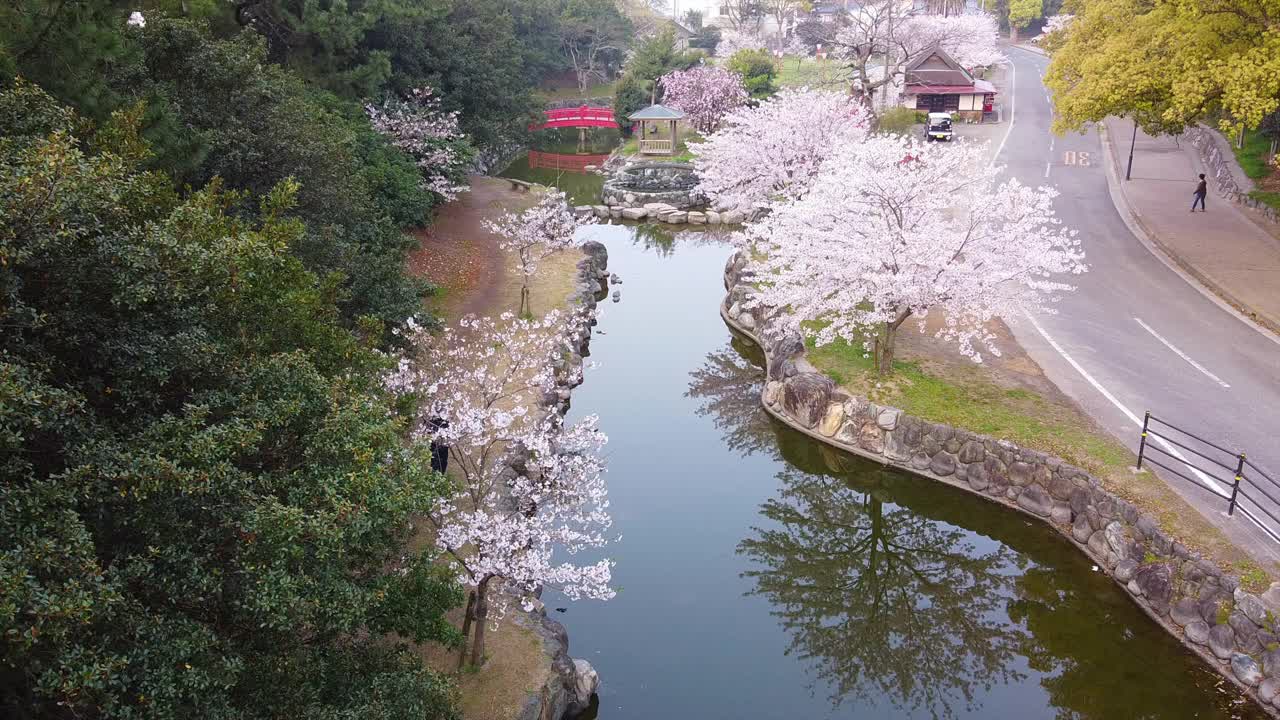 香川县加农寺市的春色