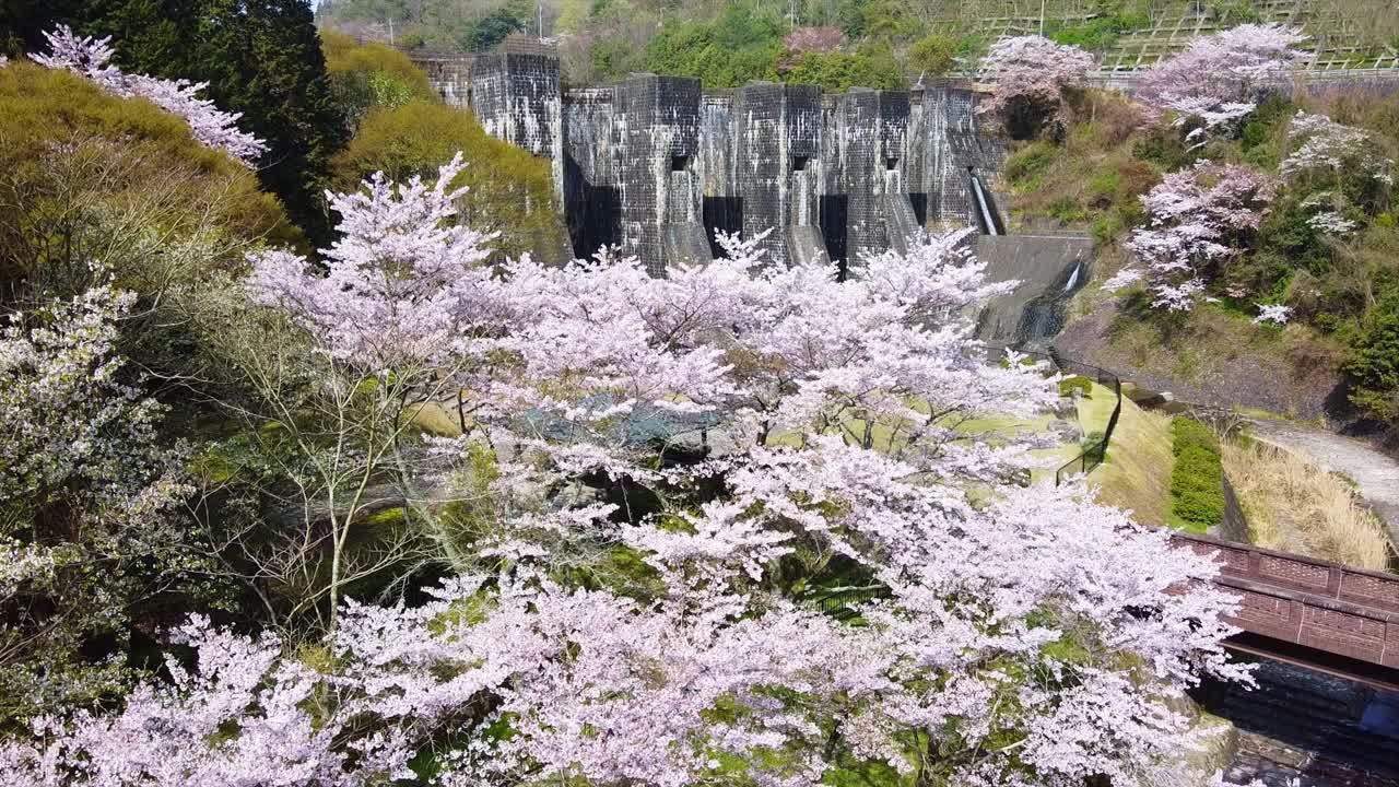 这是香川县加农寺市历史悠久的法能塘大坝的录像