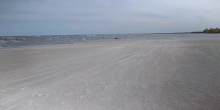 春天波罗的海沿岸的沙丘