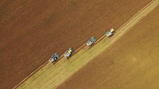 无人机空中俯视图联合收割机操作在茉莉稻田，粮食或农业的概念。视频素材模板下载
