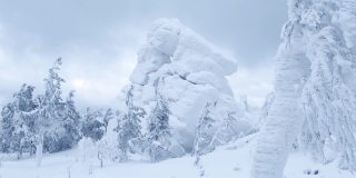树木被霜和霜雾所覆盖。白雪覆盖的悬崖矗立在森林之上。风吹动冻僵的冷杉树枝。山顶的宁静与禅意。