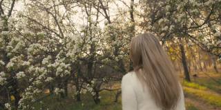 迷人的年轻女子穿着毛衣，牛仔裤在花苹果树跳舞和纺纱。夕阳，春天的果园和绿色的田野。缓慢的运动。
