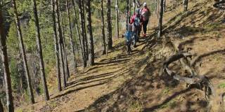 女人在大自然中走北欧式的路。女孩和儿童使用徒步手杖和北欧杆，背包。全家出游，爱好运动。秋天的森林。