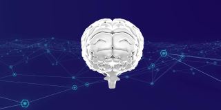 人脑在蓝色背景下处理网络连接数据的动画