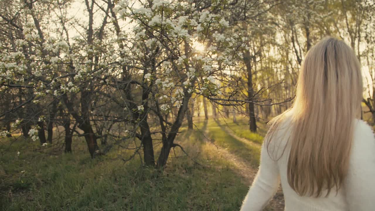 迷人的年轻女子穿着毛衣，牛仔裤在花苹果树跳舞和纺纱。夕阳，春天的果园和绿色的田野。缓慢的运动。