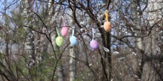 装饰着彩色复活节彩蛋的猫咪柳枝在风中摇摆。复活节快乐。家居景观装饰理念