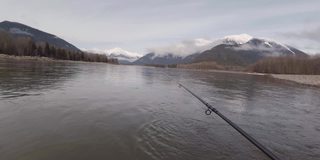 波夫或观点，飞钓鲑鱼在斯基纳河在春天，雪山上，加拿大不列颠哥伦比亚省